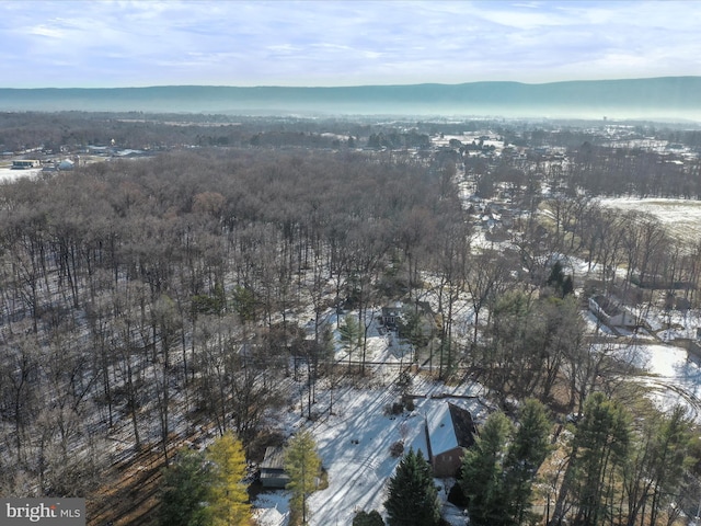 drone / aerial view with a mountain view