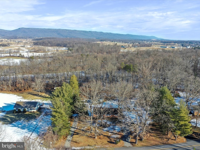 bird's eye view with a mountain view