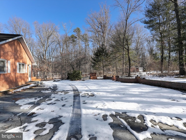 view of yard covered in snow