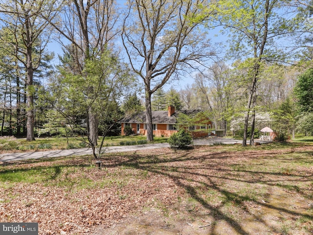 view of yard