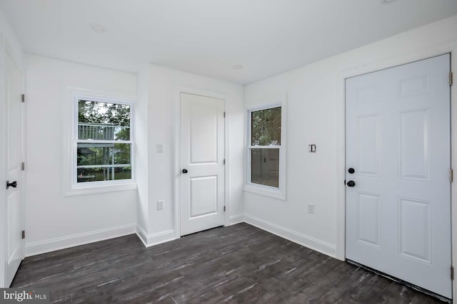 foyer entrance with dark hardwood / wood-style floors