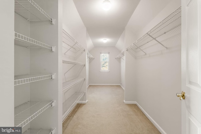 walk in closet featuring light colored carpet