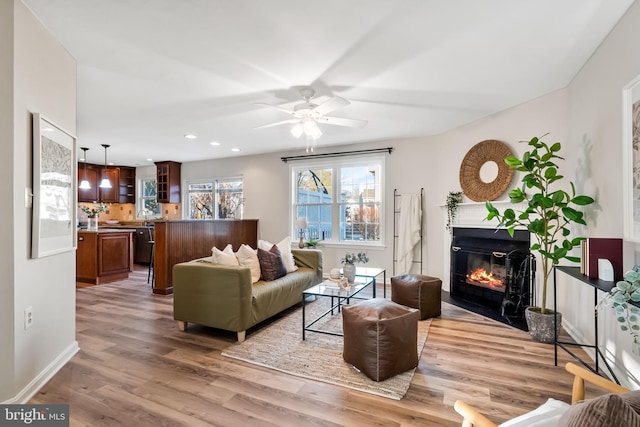 living room with wood-type flooring and ceiling fan