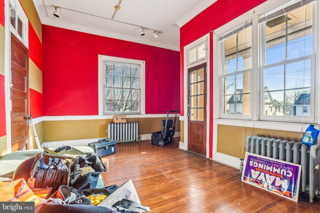 interior space featuring wood-type flooring, radiator, and track lighting