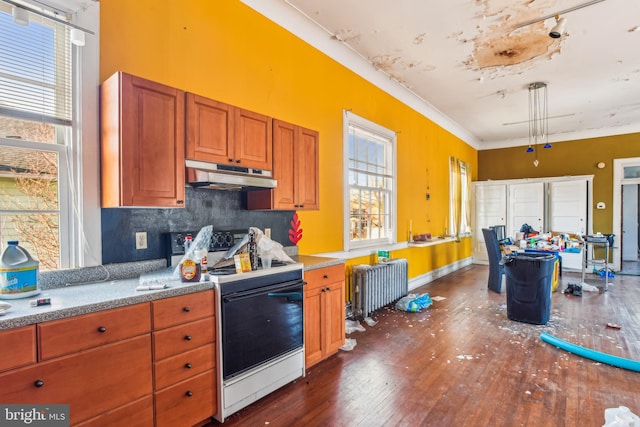 kitchen featuring crown molding, radiator heating unit, dark hardwood / wood-style floors, tasteful backsplash, and range with electric stovetop