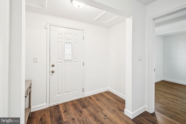 entrance foyer featuring dark wood-type flooring