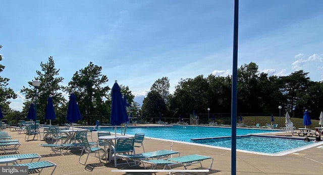 view of pool featuring a patio area