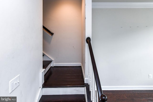 stairs featuring hardwood / wood-style flooring and ornamental molding