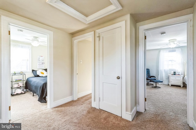 hall featuring light colored carpet and a raised ceiling