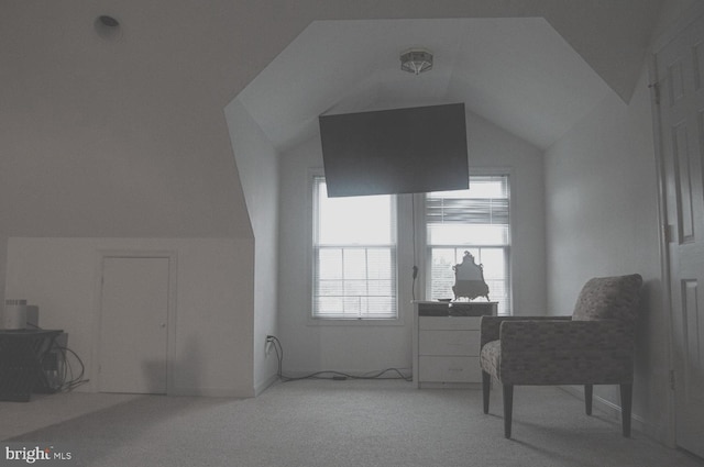 additional living space featuring vaulted ceiling and carpet