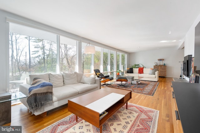 living room with light hardwood / wood-style flooring