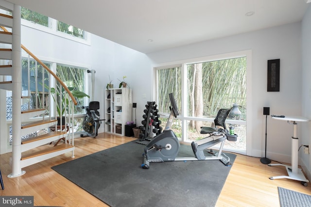 workout area featuring hardwood / wood-style flooring