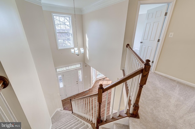 carpeted entrance foyer featuring an inviting chandelier, crown molding, and a high ceiling