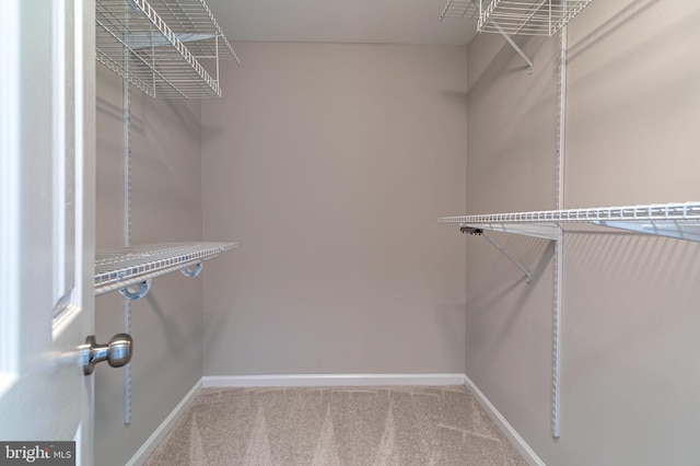 spacious closet with carpet flooring