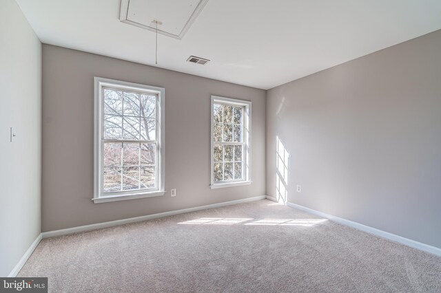 spare room with light carpet