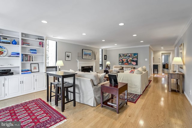 living room featuring crown molding and light hardwood / wood-style flooring