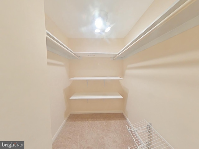 spacious closet featuring light carpet