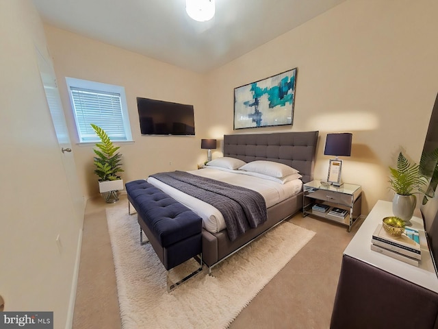 bedroom with light carpet