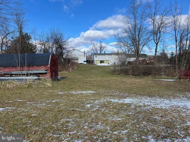 view of yard with a shed