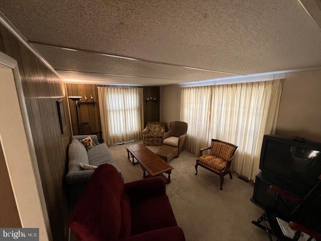 living room with light carpet, a textured ceiling, and wood walls