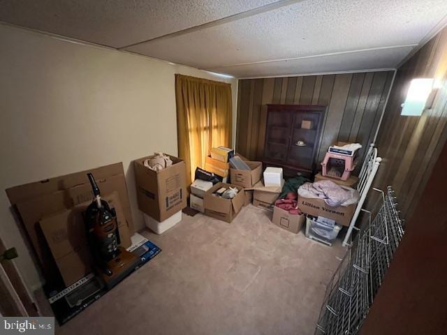 misc room featuring carpet flooring, a textured ceiling, and wooden walls