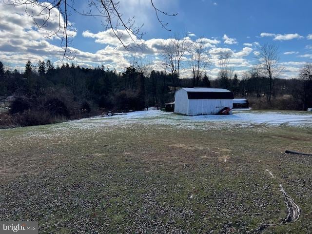 view of yard featuring a shed