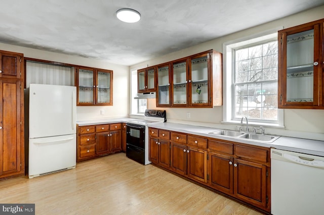 kitchen with white appliances, a healthy amount of sunlight, and sink