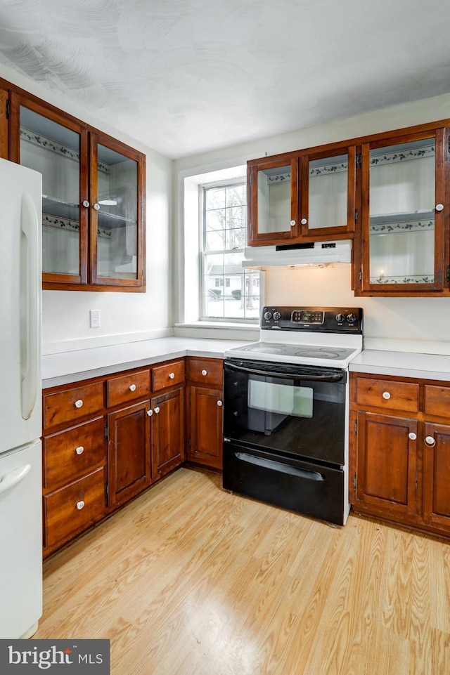 kitchen with black range with electric cooktop, light hardwood / wood-style flooring, and white refrigerator