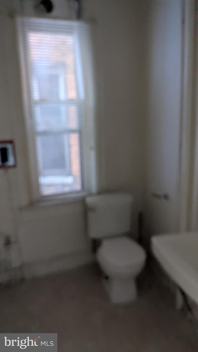 bathroom featuring toilet