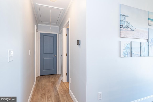 hall with crown molding and light hardwood / wood-style floors