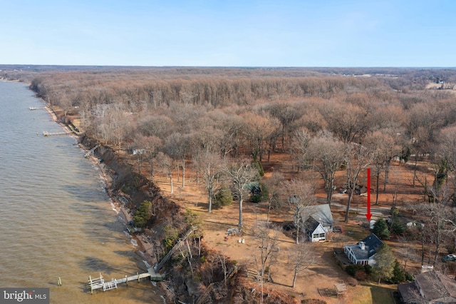 drone / aerial view with a water view and a rural view