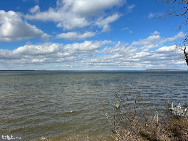 view of water feature