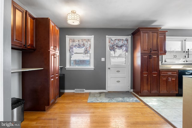 kitchen featuring dishwasher, a wealth of natural light, and light hardwood / wood-style floors