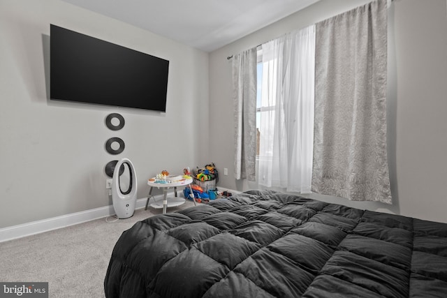 bedroom with carpet flooring