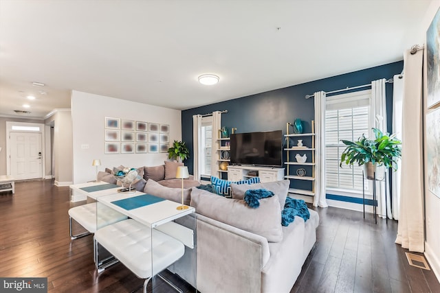 living room featuring dark wood-type flooring