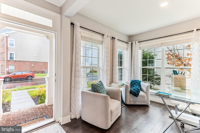 interior space featuring plenty of natural light and dark hardwood / wood-style flooring