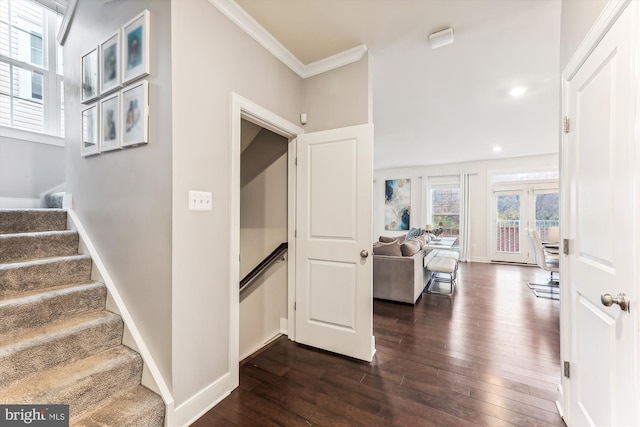 staircase with crown molding and wood-type flooring