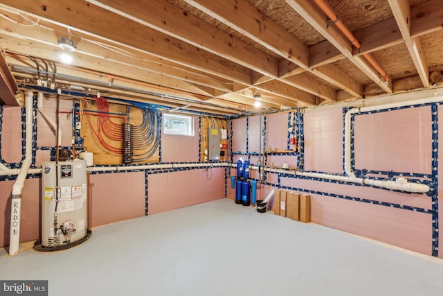 basement featuring electric panel and water heater