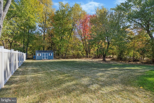 view of yard with a storage shed