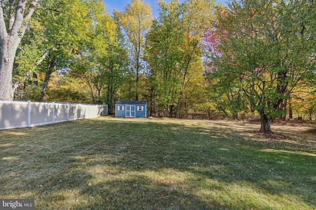 view of yard with a shed