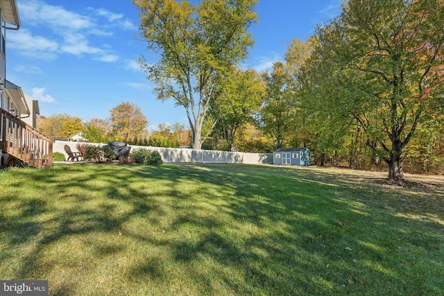 view of yard with a shed