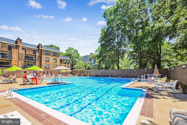 view of swimming pool with a patio area