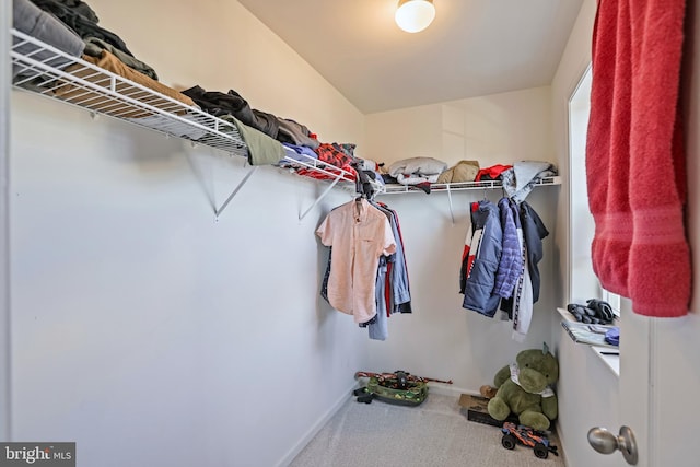 spacious closet featuring carpet floors