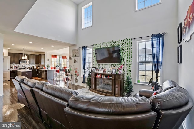 living room featuring dark hardwood / wood-style floors and a high ceiling