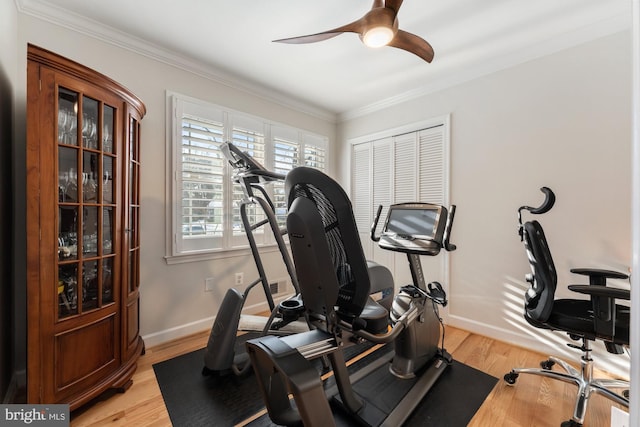 workout room featuring crown molding, ceiling fan, and light hardwood / wood-style flooring