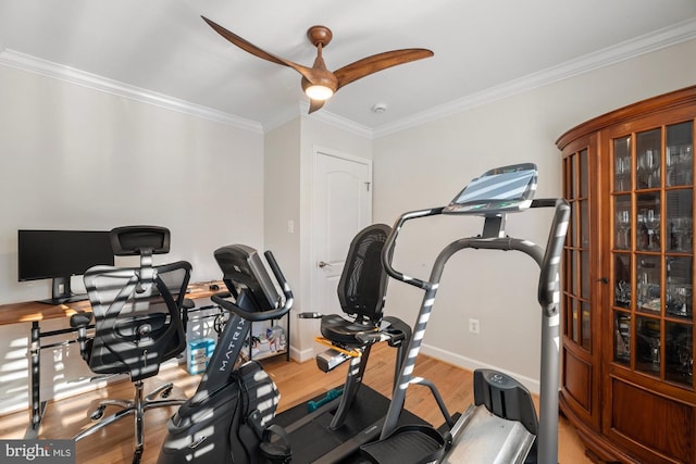 exercise room featuring ceiling fan, ornamental molding, and hardwood / wood-style floors