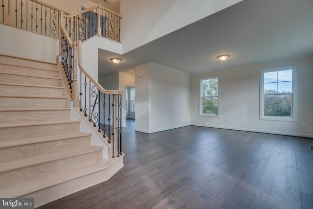 interior space featuring plenty of natural light and dark hardwood / wood-style flooring