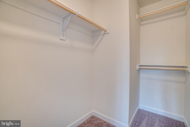 walk in closet with carpet