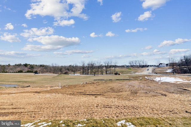 view of yard with a rural view