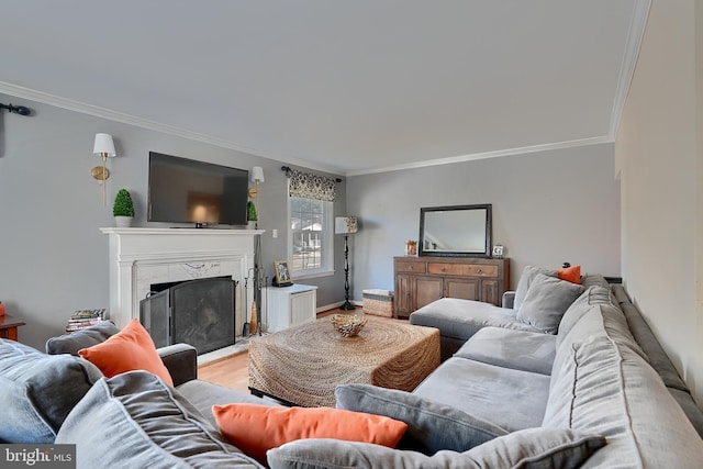 living room featuring ornamental molding, a premium fireplace, and light wood-type flooring